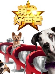 萌犬好声音（英文）